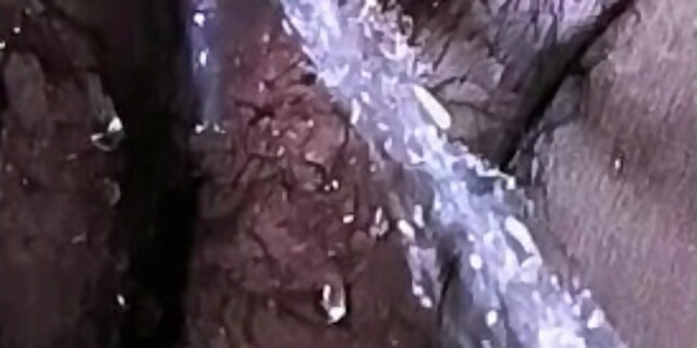 Lovely Neha Indian MILF pissing like a professional