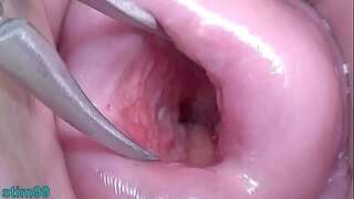 Japanese Wife Open Cervix Wide to witness inwards Uterus
