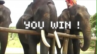 My crazy and crazy week in Pattaya was a pussy-smashing success!