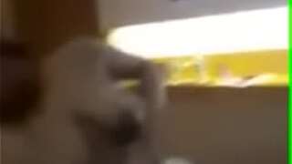 Desi Girl Shri Reddy from Telugu Dancing in Hotel Room