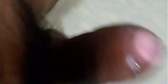 Indian ebony cock