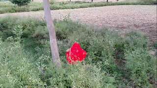 Sona bhabhi outdoor fucking gash doggie lovemaking Village doll
