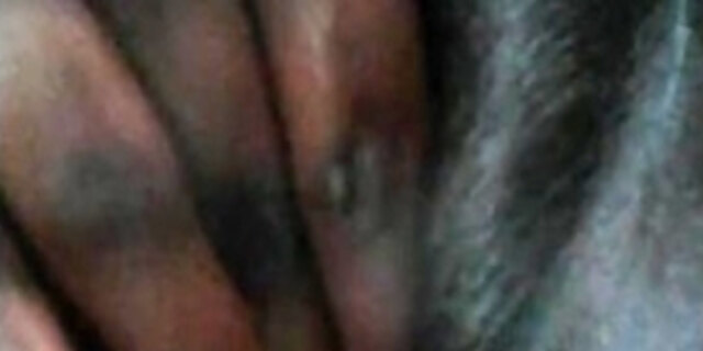 Close up to my kitty